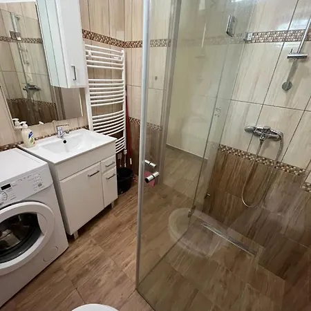 Apartament Albi *